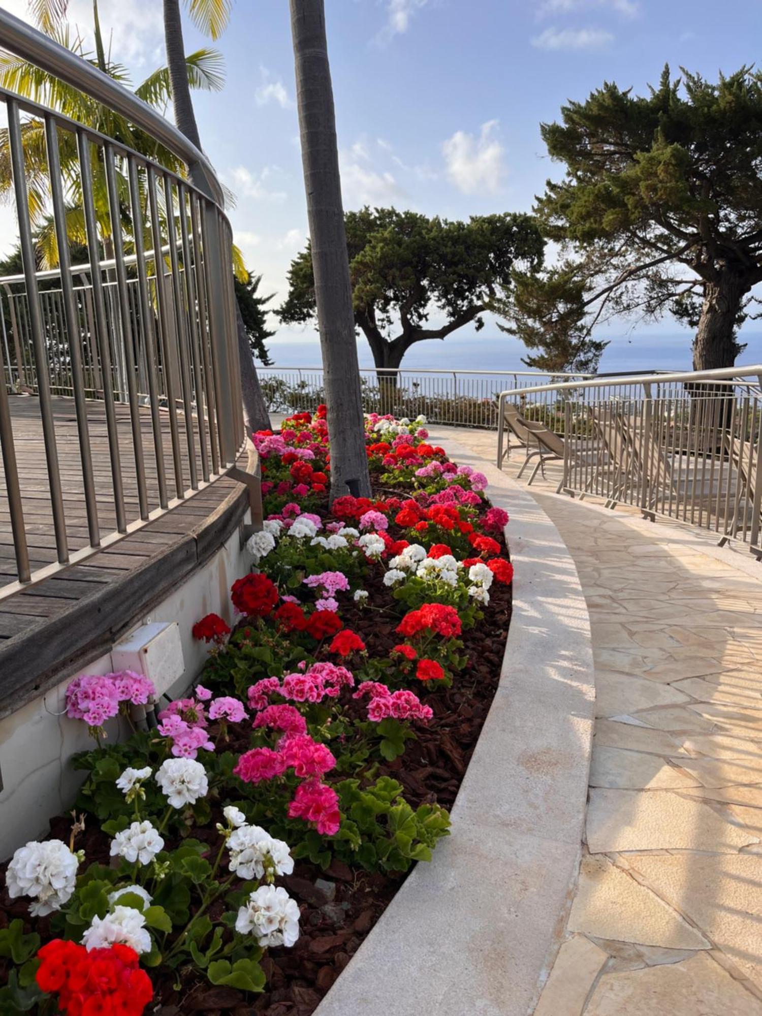 מלון Quinta Funchal Gardens - Adults Only מראה חיצוני תמונה
